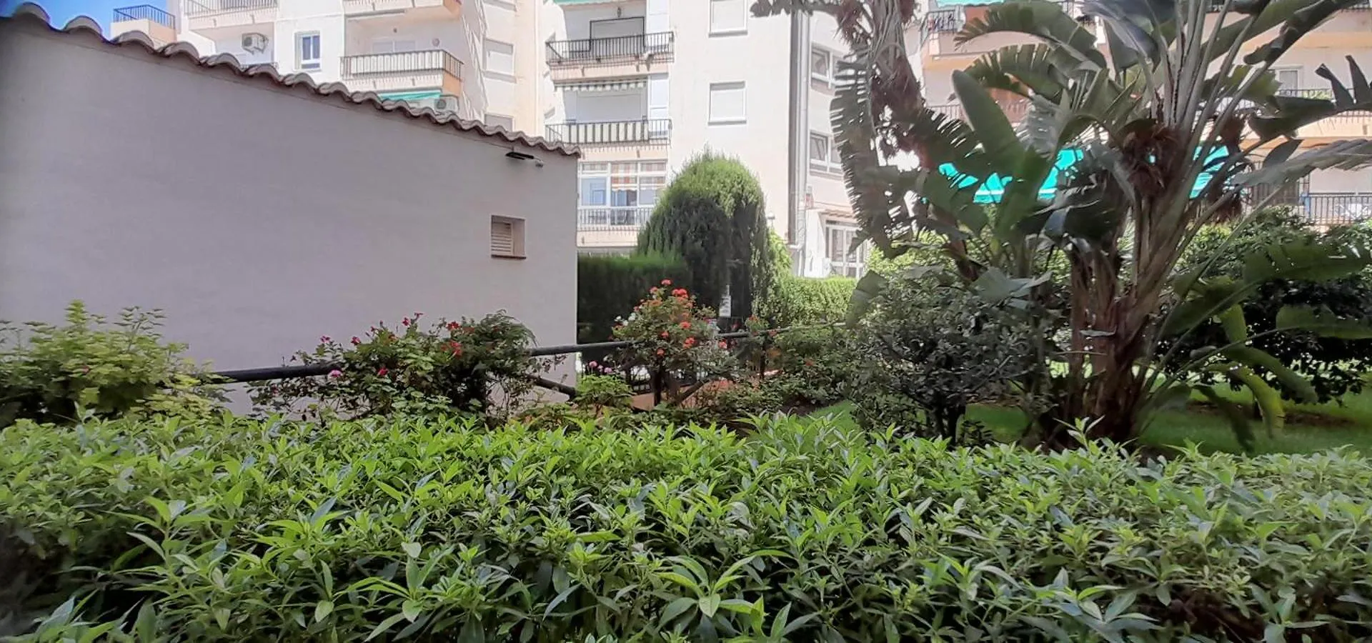 La Casita De La Piscina Apartment Nerja Spain